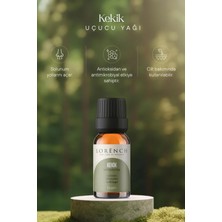LORENCH Kekik Uçucu Yağı 10 ml
