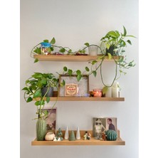 Yggdrasil Home Decor Doğal Ahşap Raf 3'Lü Takım - 60 x 20x4  cm  (Gizli Aparatlı Raf)