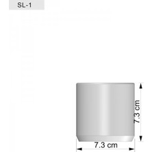 Sukulent Şehri Geometrik Saksı ve Sukulent