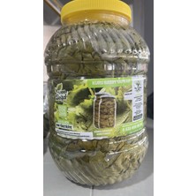 Yücehas Tarım Taze Asma Yaprağı Kuru Basım 5 lik Pet Net: 2000 Gr