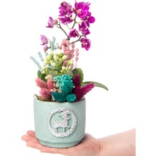 Palace Roses Geyikli Saksıda Mini Mor Orkide ve Kalanchoe