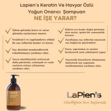 Lapiens Yıpranmış ,Mat Kuru Cansız Saçlar İçin Besleyici, Yoğun Onarıcı, Bağ Güçlendirici Saç Bakım Seti