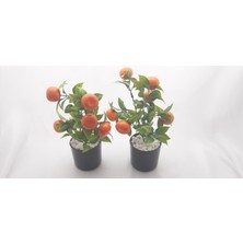2 Adet Şık ve Dekoratif Plastik Saksıda Yapay Mandalina Ağacı