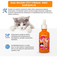 Metapet Köpekler için Multivitamin Damlası, Tüy Kemik Glukozamin Deri Sağlığı Destekleyici, Su / Mamasına