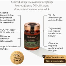 Eğriçayır Organik Çam Balı TA15+ 450g