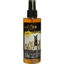 Luxor Kimya Evcil Haycan Parfümü Kedi & Köpek Koku Giderici Star ve Garden 200 ml