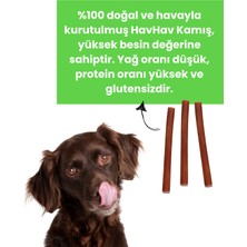 Havhav Köpek Ödül Kemiği 4 Adet Doğal Dana Kamış Köpek Çiğneme Çubuğu 15 Cm Köpek Ödül Maması