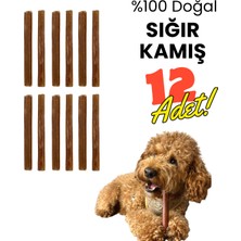 Havhav Köpek Ödül Kemiği 12 Adet Doğal Dana Kamış Köpek Çiğneme Çubuğu 15 Cm Köpek Ödül Maması