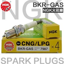 NGK Otoparcan Opel Zafira / Zafira Family 2.2 2005-2019 Lpg 7987 Buji Takım