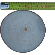 Nessi World Oduncudünyası Ahşap Hobi Boyama Hediyelik Kütük Dilimi 6-7 cm - 50 Adet