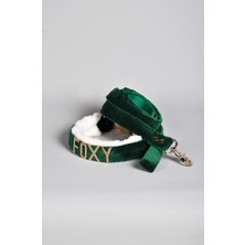 Pawsim Isimli Köpek Tasması ( Tasma + Gezdirme Kayışı Set ), Isime Özel Köpek Tasması , Peluş Köpek Tasması ,