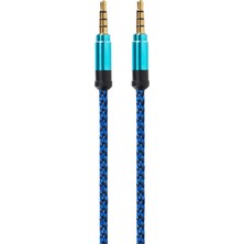 iThink Silver Aux Kablo