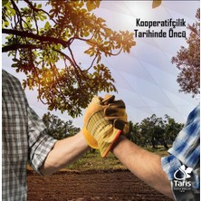 Tariş YASEMİN KOLONYASI 3X200 ML