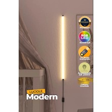 Luciole Uzaktan Kumandalı LED Lambader Yatak Üstü Tv Yanı Oturma Odası Rgb Çok Renkli  Lclmb2
