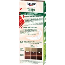 Palette Kalıcı Doğal Renkler 6-68 Bronz Çikolata Saç Boyası Goji Berry Özü & Yulaf Çekirdeği Özü ile