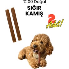 Havhav %100 Doğal Sığır Kamış 2 Adet Köpek Çiğneme Çubuğu Kurutulmuş Taze Dana Kamış Köpek Ödülü