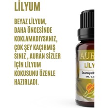 Lilyum Esansiyel Uçucu Koku Yağı Difüzör Esansı Buhurdanlık Yağı Aromaterapi Yağı 10ml