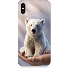 Teknomeg Apple Iphone Xs Max Uyumlu Sevimli Kutup Ayısı  Desenli Silikon Kılıf