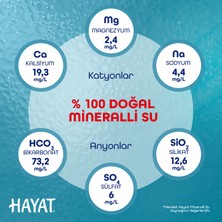 Hayat Küçük Çocuklara Özel Ambalajlı Su 12x330 ML