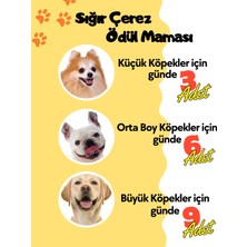 Havhav Doğal Köpek Ödül Maması 4 Adet Katkısız Köpek Ödül Maması Seti  Kurutulmuş Et Sığır Çubuk Çerez 4X50 gr