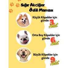 Havhav Doğal Köpek Ödülü 4 Adet Katkısız Köpek Ödül Maması Seti Kurutulmuş Et Dana 4X50 gr