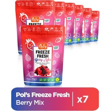 Pol's Freeze Fresh Berry Mix 16 G x 7 Adet