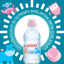 Hayat Küçük Çocuklara Özel Ambalajlı Su 24x330 ML