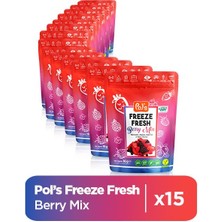 Pol's Freeze Fresh Berry Mix 16 g x 15 Adet