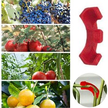Lolandwiki Bitki Eğitmeni-10 * Bender-Kırmızı (Yurt Dışından)