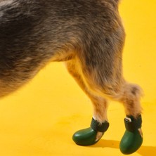 Bunico Boots Yeşil Köpek Ayakkabısı