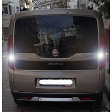 Erlight Fiat Doblo D3 D4 LED Geri Vites Aydınlatma Ampulu Platinum W16W