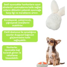 Havhav Hışırtı Sesli Tavşan Küçük Irk Köpek Oyuncağı Ses Çıkaran Peluş Köpek Oyuncağı