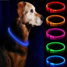 Shanhua Shop Sarı Stil LED USB Köpek Tasması Pet Köpek Gece Aydınlık Şarj Yaka LED Gece Güvenlik Yanıp Sönen Kızdırma Köpek Kaybı Önleme Yaka Pet Aksesuar (Yurt Dışından)