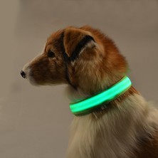 Shanhua Shop Kırmızı Stil L Boyutu LED Köpek Tasması Işık Anti-Kayıp Yaka Köpekler Yavruları Gece Aydınlık Malzemeleri Evcil Hayvan Ürünleri Aksesuarları (Yurt Dışından)