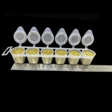 Europiyer Altın Sarısı Sim Tozu 6'lı Paket (6X10 60 Gram)