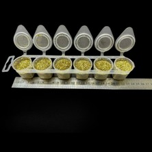 Europiyer Altın Sarısı Sim Tozu 6'lı Paket (6X10 60 Gram)