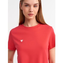 Dilvin 30584 Bisiklet Yaka Pamuklu T-Shirt-A.kırmızı