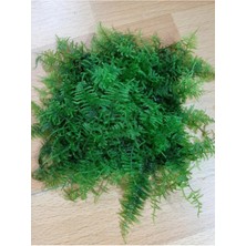 Aydın Akvaryum Christmas Moss Tele Sarılı 5 x 5 cm Yeni Sarım