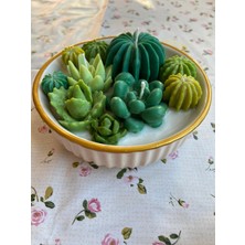 Eloza Floral Art Sukulent Temalı Soyawax Mum