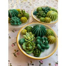 Eloza Floral Art Sukulent Temalı Soyawax Mum