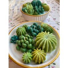 Eloza Floral Art Sukulent Temalı Soyawax Mum