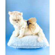 Kemique Navy Creamy Tütülü Kedi Elbisesi Kıyafeti Tutu