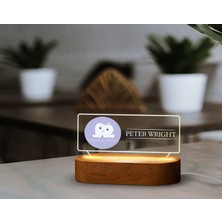 Bk Gift Kişiye Özel Isimli Diş Hekimi Temalı LED Işıklı Akrilik Masa Isimliği-4, Ofis Dekoru, Mesleki Hediye, Ofis Hediyeleri