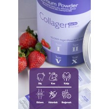 Collagen Forte Platinum Premium Powder (Toz) 5 Tip Kolajen 10.000 mg x 30 Şase, Orman Meyveli Aroma