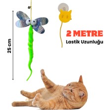 Miyav Yusufçuk Kendinden Yapışkanlı ve Ses Çıkaran Kedi Oltası 2 Metre Lastikli Elastik Kedi Oyun Oltası