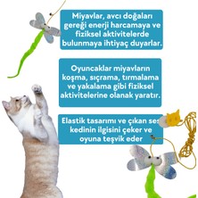 Miyav Yusufçuk Kendinden Yapışkanlı ve Ses Çıkaran Kedi Oltası 2 Metre Lastikli Elastik Kedi Oyun Oltası