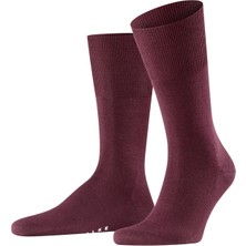 Falke Happy 2'li Paket Erkek Çorap