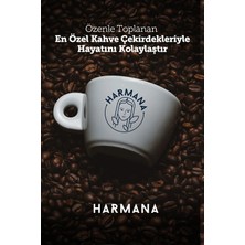 Harmana Hindiba Kahve Detox 1 Aylık 60 Kullanım 150 gr