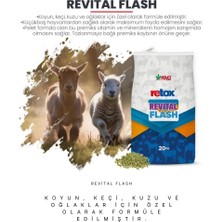 Reva Revital Flash Küçükbaş Hayvanlar Için Verim Arttırıcı Yem Katkı - 20KG