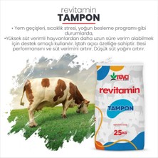 Reva Revitamin Tampon - Verim Arttırıcı Hayvan Yem Katkı 25 kg Kraft